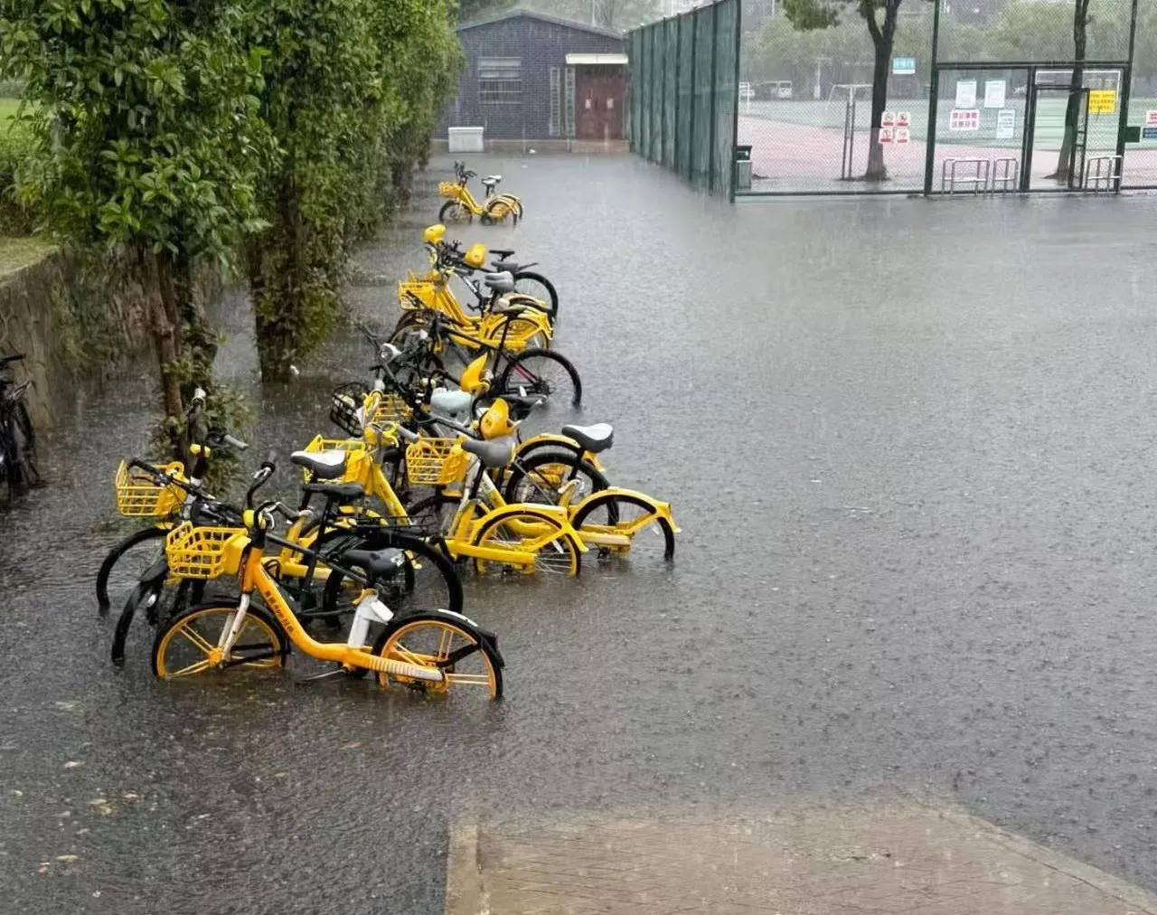 雨