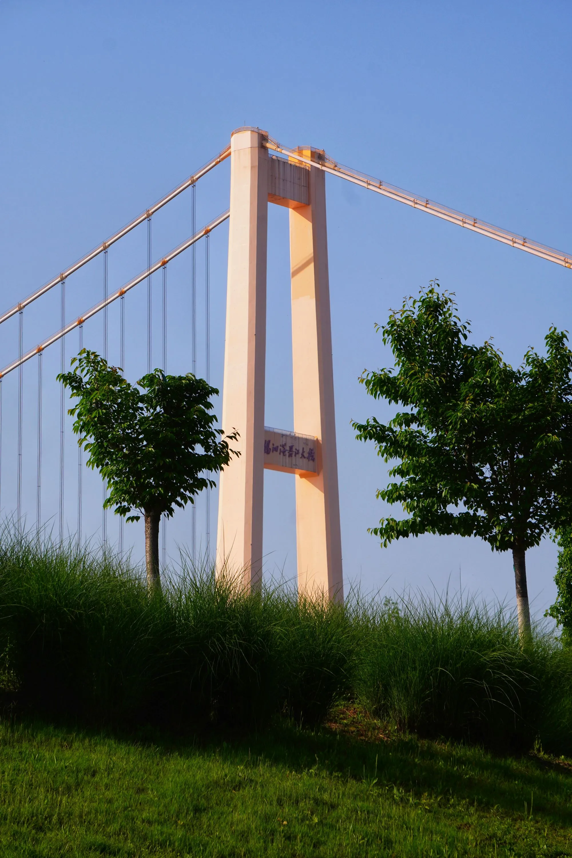 杨泗港