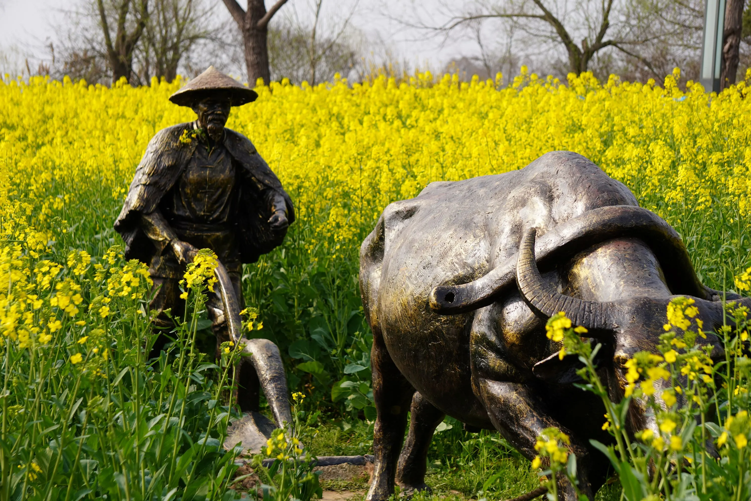 油菜花海中的雕像