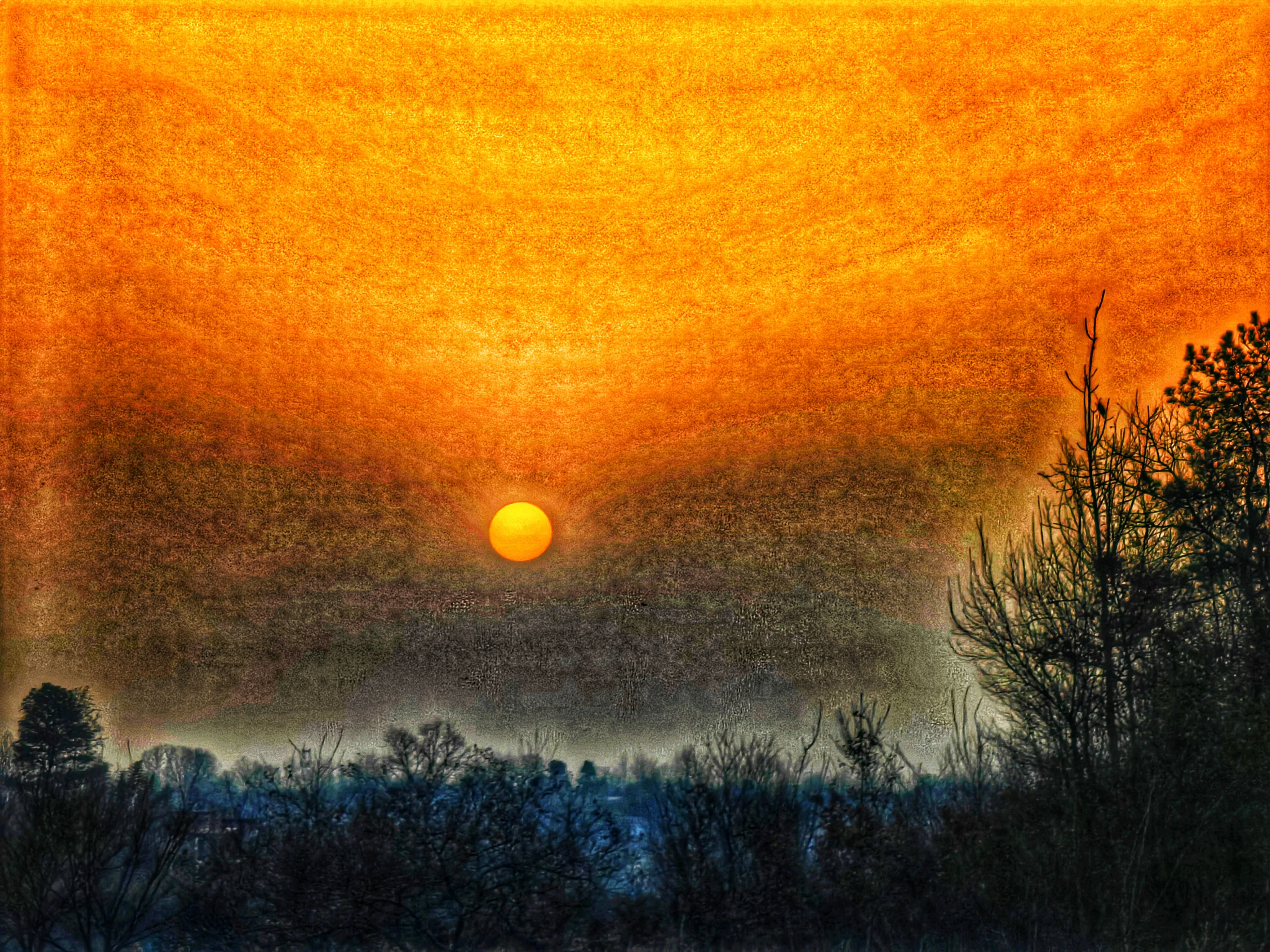 匆匆忙忙的寒假生活