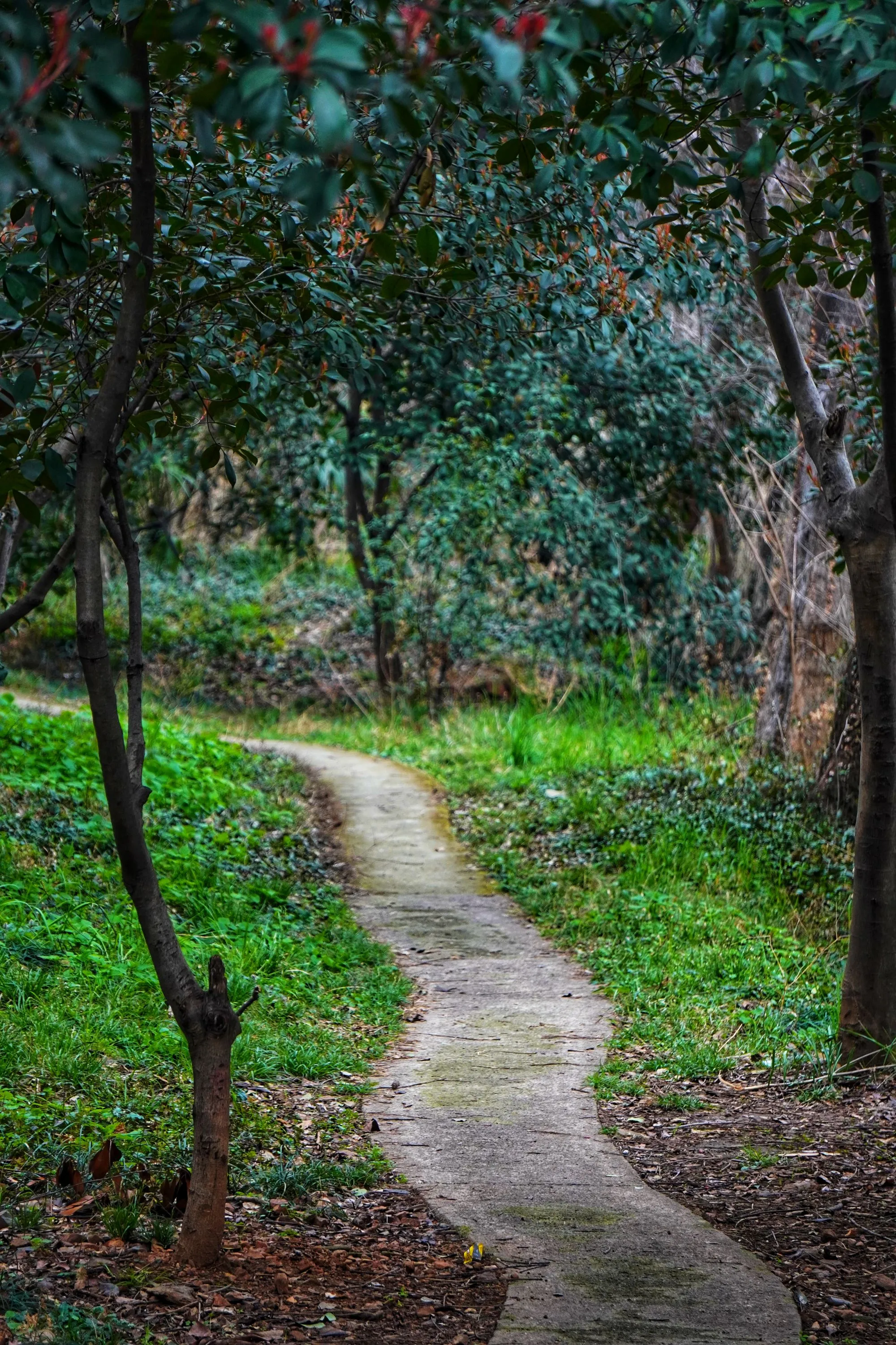 小路