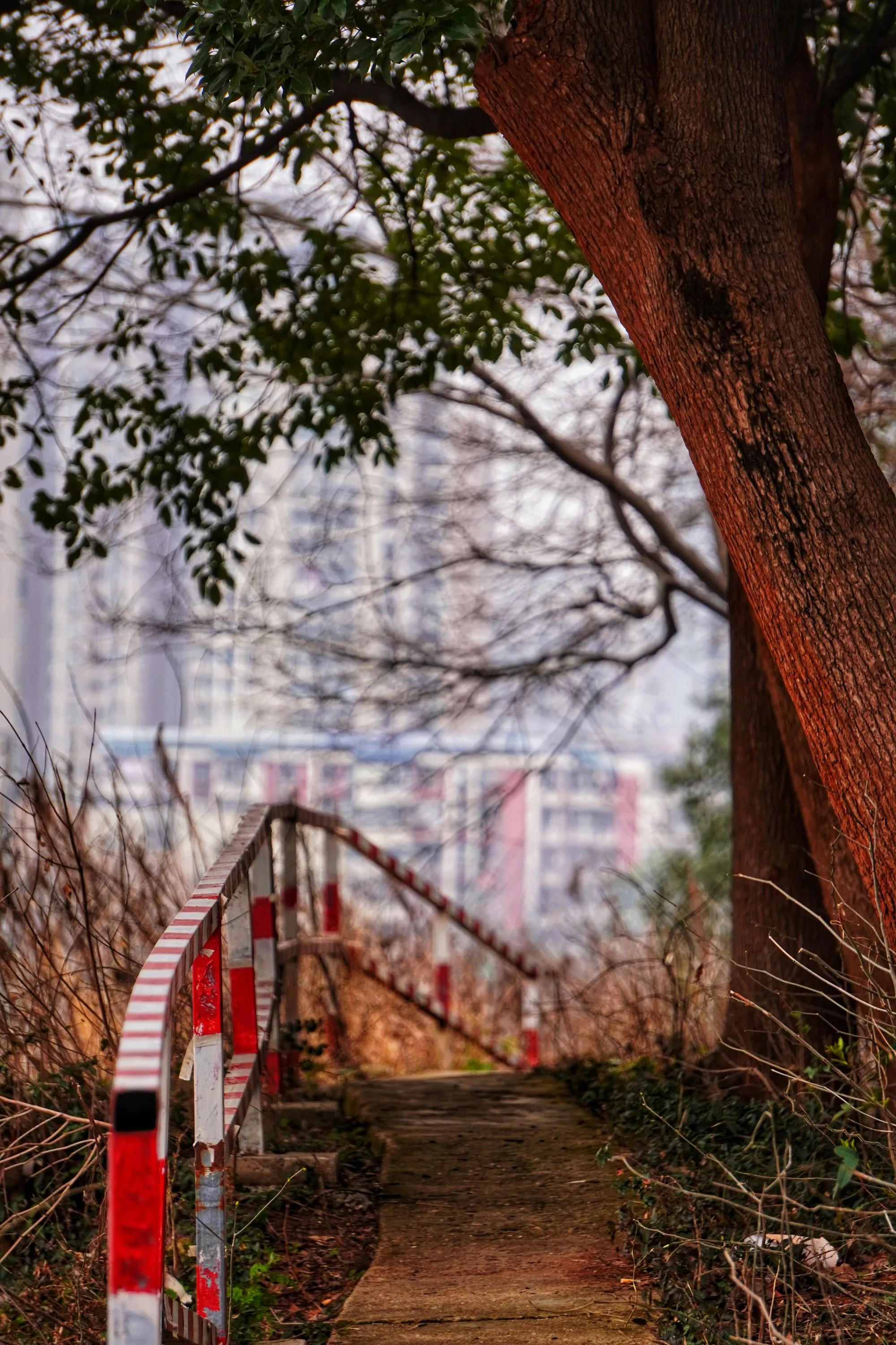 小路